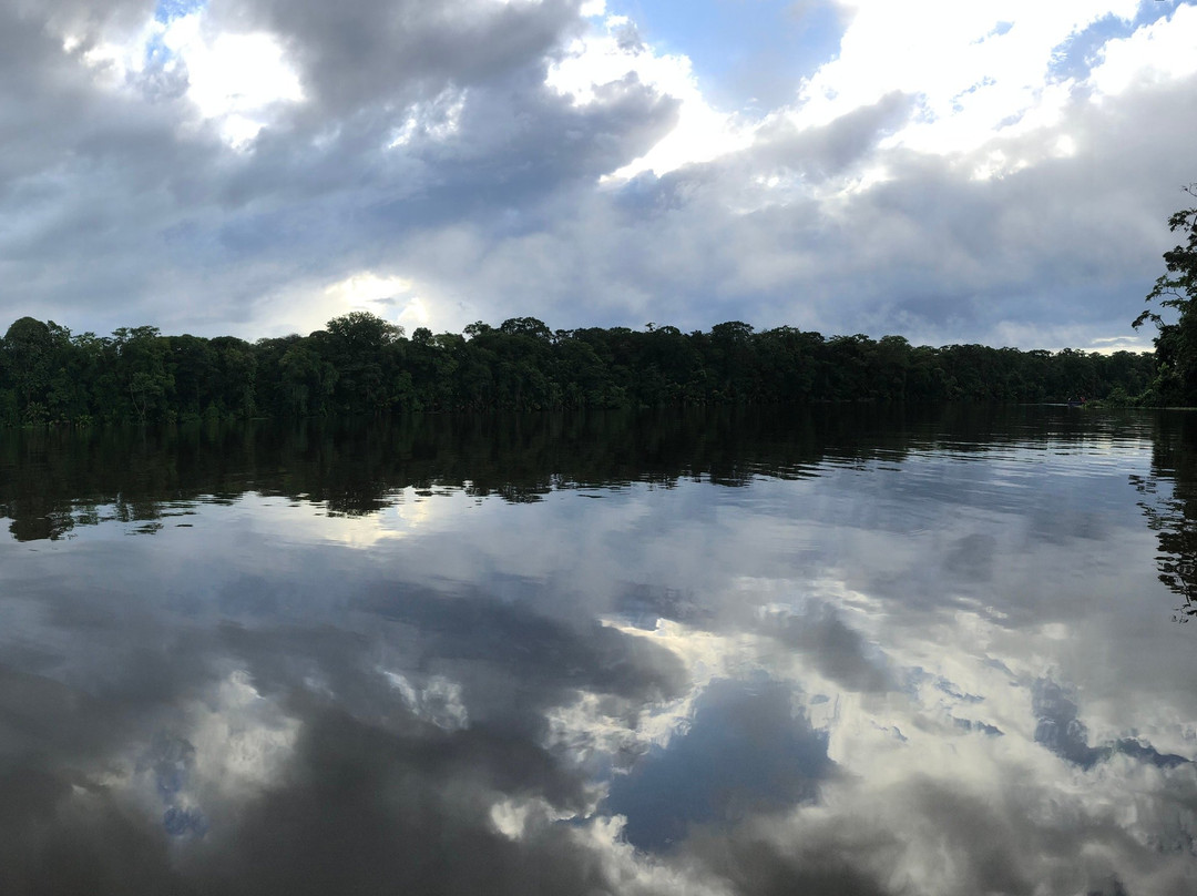 Tortuguero Tours - Adventures close to Nature景点图片