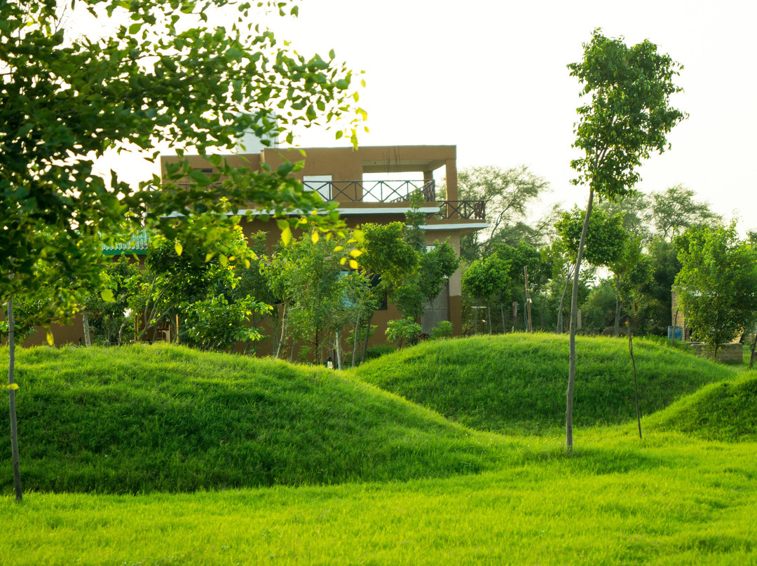 Bhind酒店住宿-Chambal Wildlife Safari Lodge