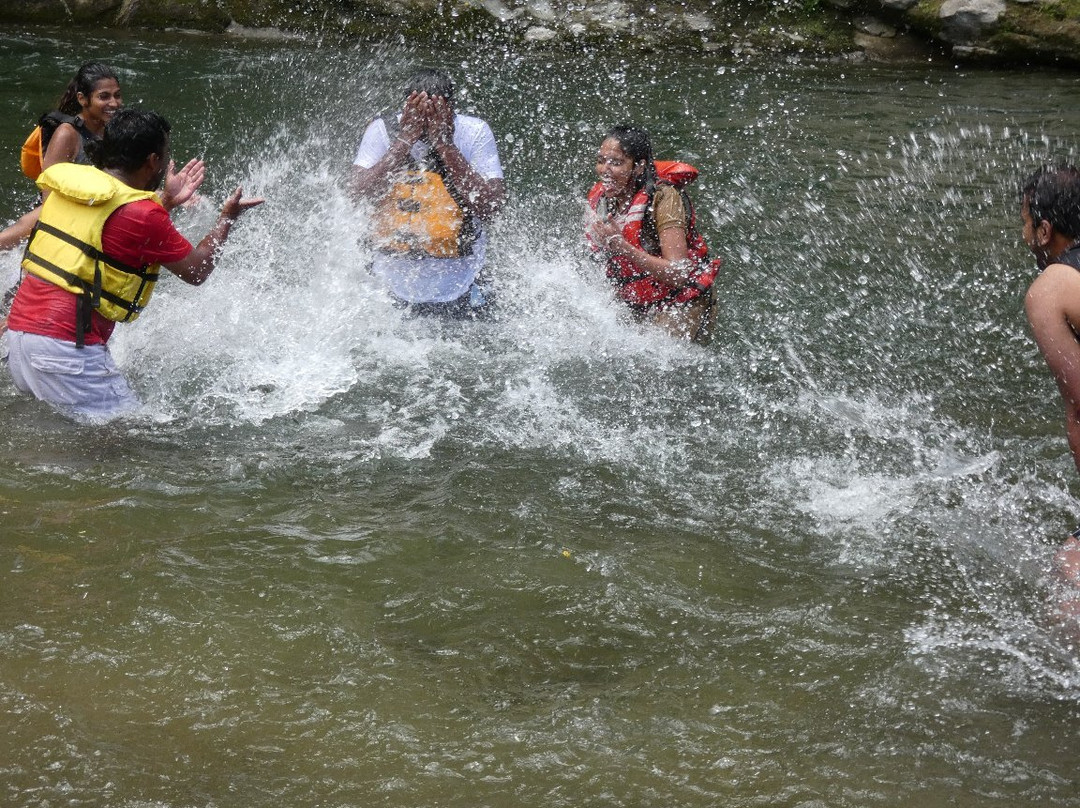 Raft Fish NZ景点图片
