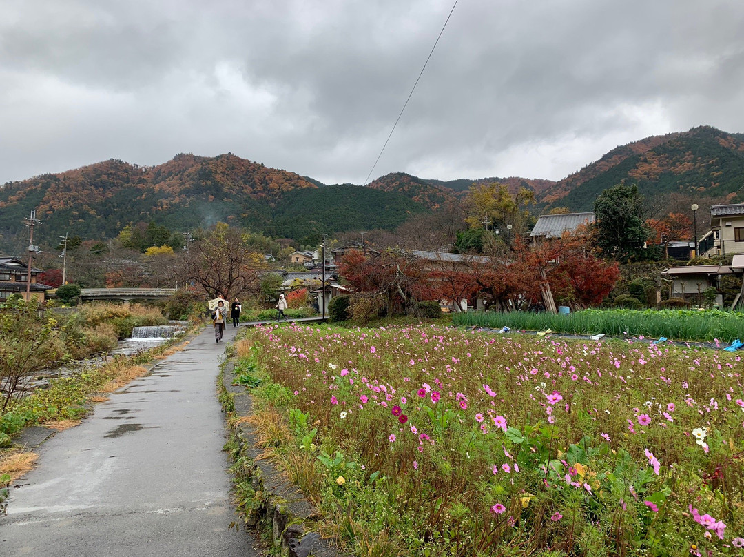 Kyoto Adventures-京都市必去景点