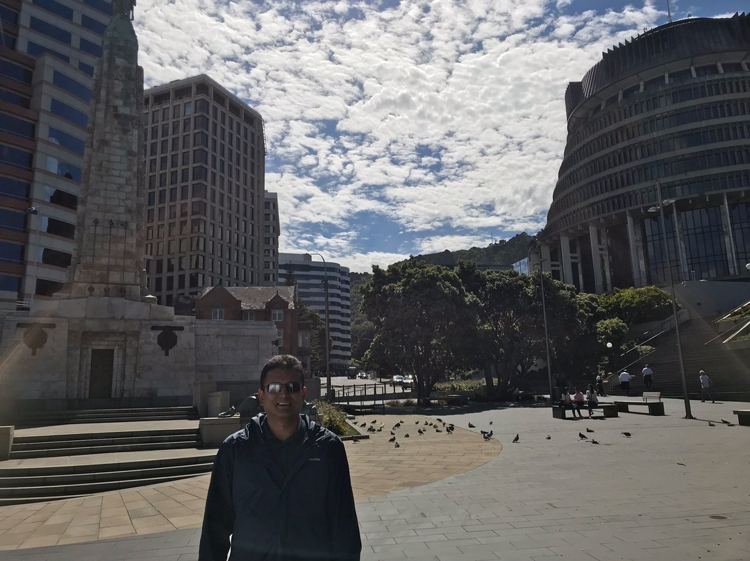 Hammonds Wellington Tours-惠灵顿必去景点