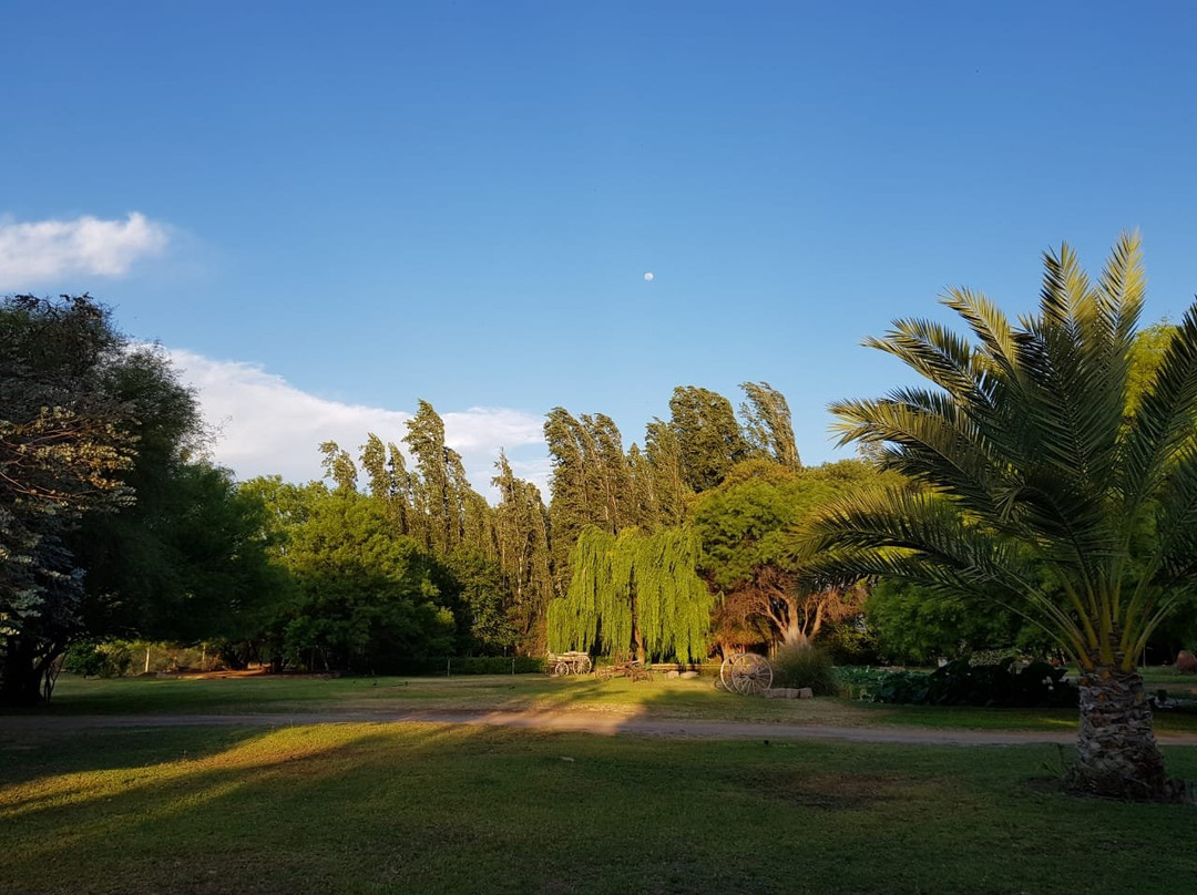 Posada del Olivo主图