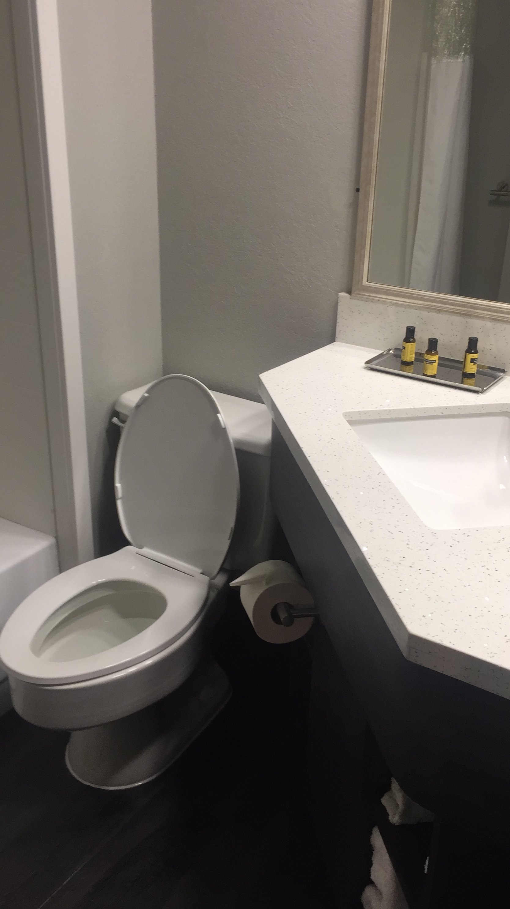 Best Western Plus Bloomington East Hotel-浴室