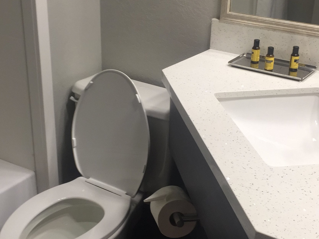 Best Western Plus Bloomington East Hotel主图