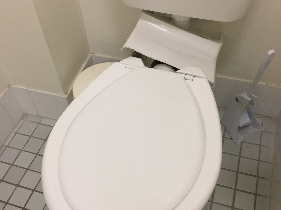 Blue Pelican Motel主图