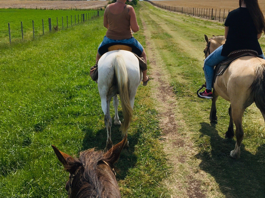 Cabalgatas Ikebana Colonia-科洛尼亚·德尔萨克拉门托城必去景点