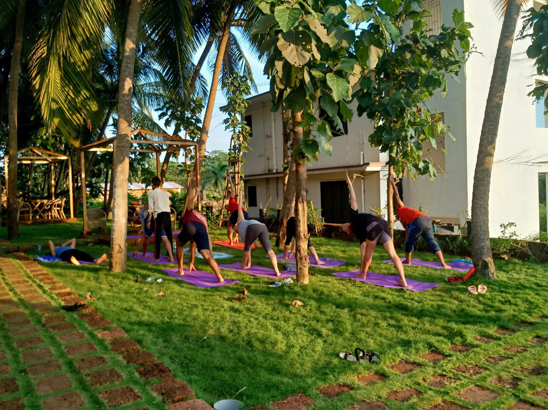 Shivoham Yoga School景点图片