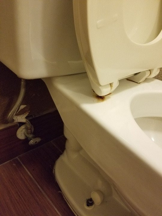 Okatie Hilton Head Hotel主图