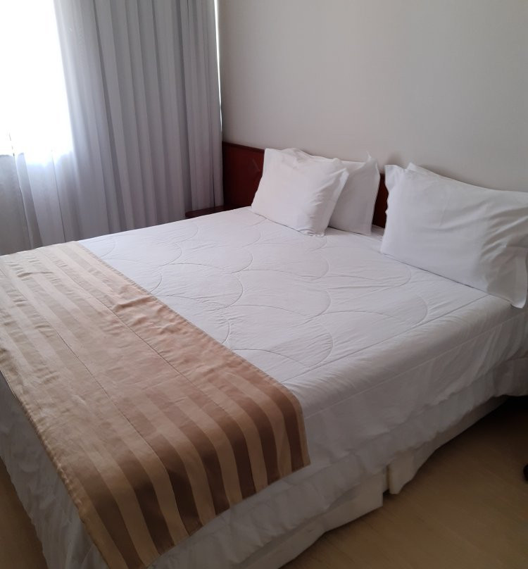 Carlton Plaza Hotel Poços de Caldas主图