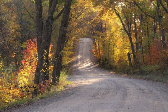 Pillsbury State Forest-Pillager必去景点