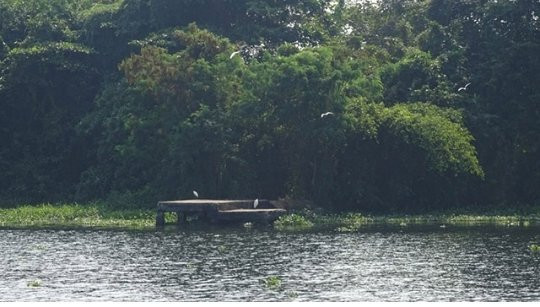 Pathiramanal Island-阿拉普扎必去景点