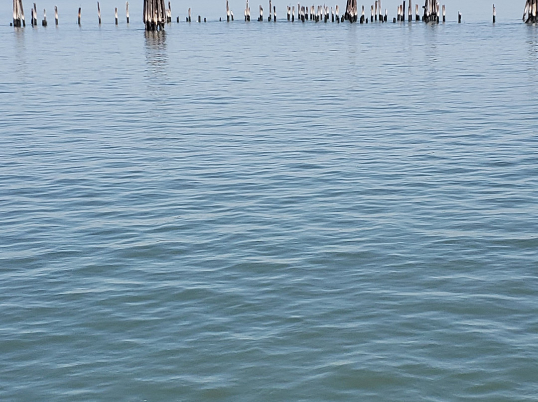 Point Pinole-列治文必去景点