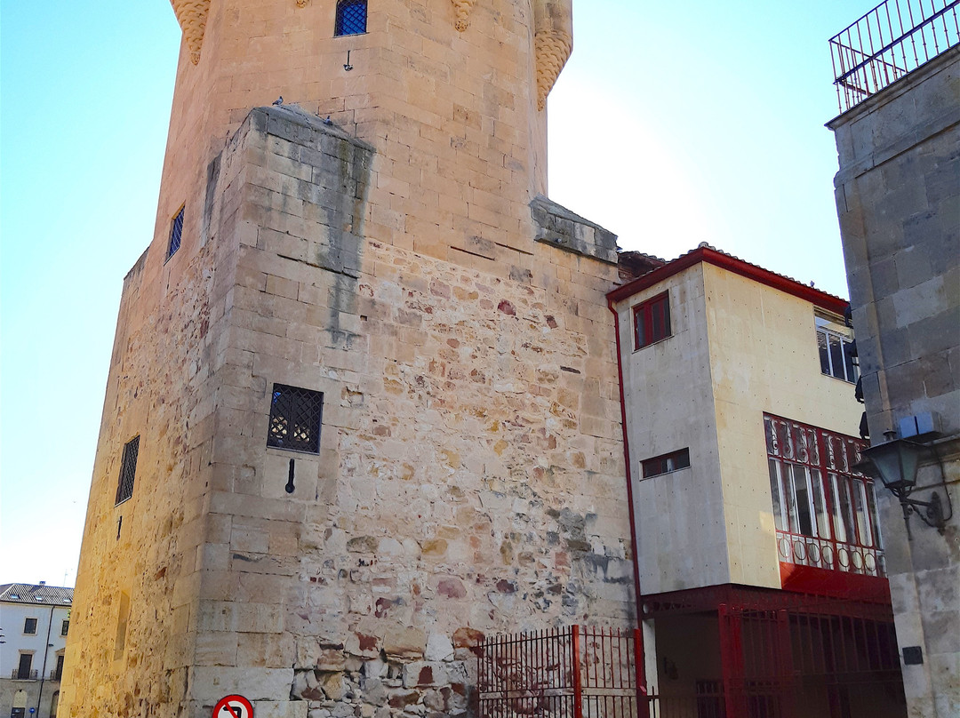 Torre del Clavero-萨拉曼卡必去景点