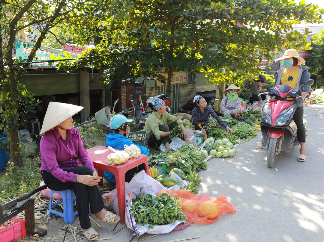 Viet village tours景点图片