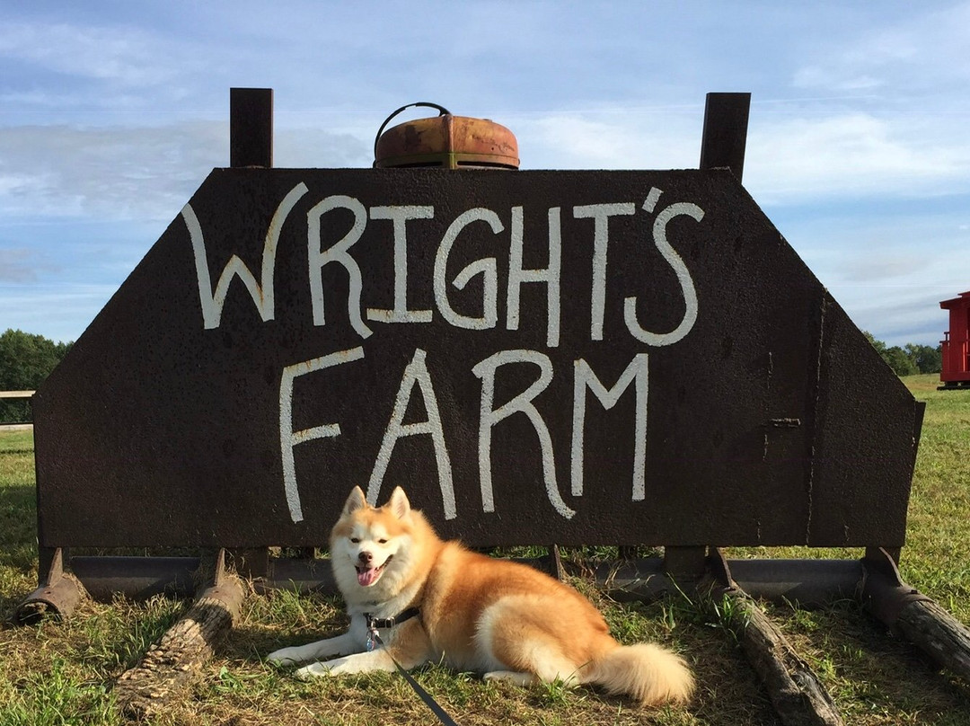 Wright's Farm and Fruit Stand景点图片