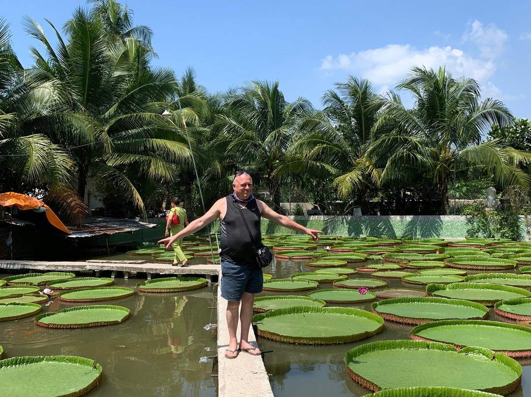 Xeo Quyt Relic Area-Cao Lanh必去景点