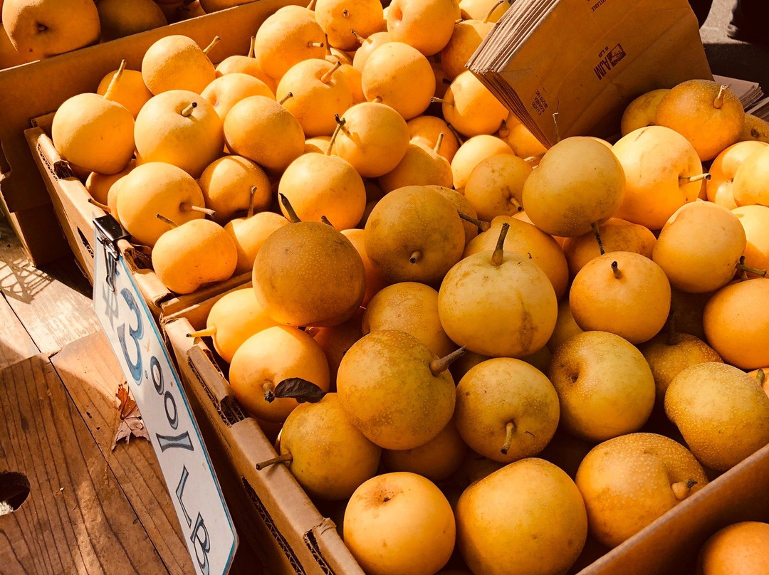 Arcata Plaza Farmers' Market景点图片