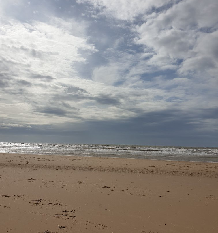 Formby Pinewoods-Formby必去景点