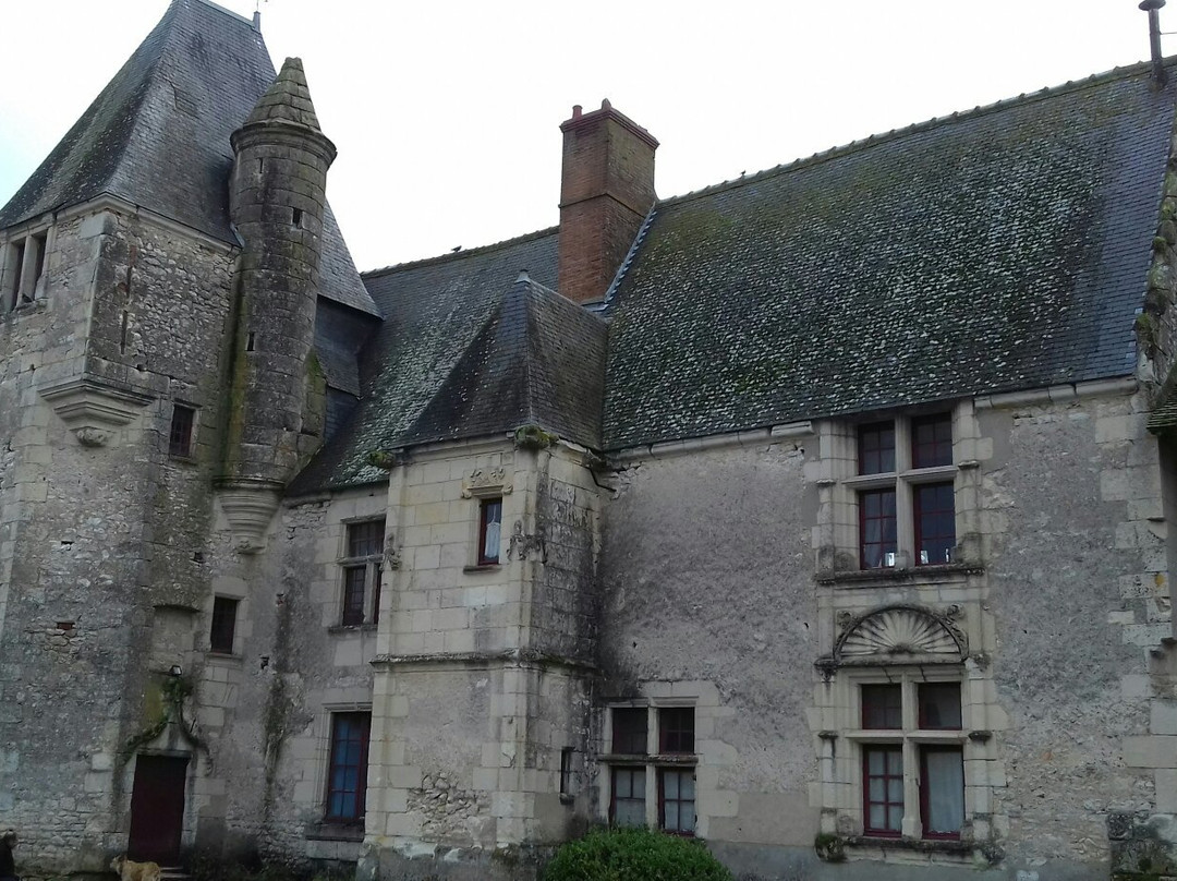 Château de Chémery景点图片