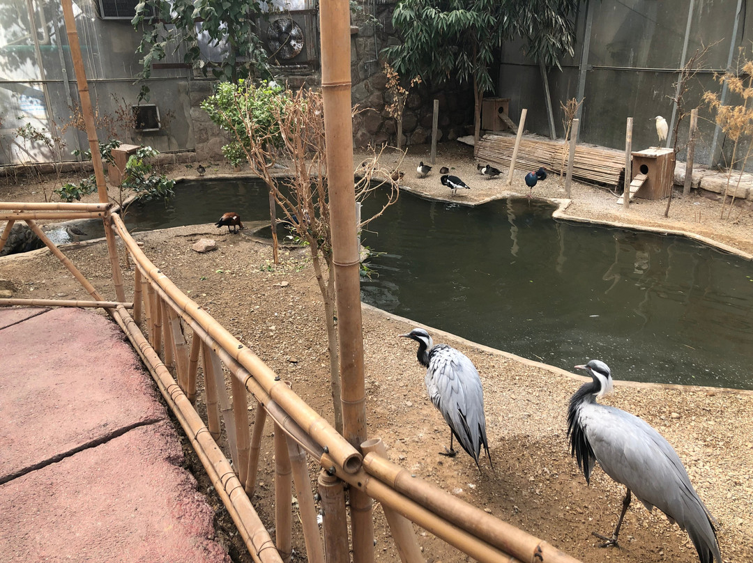 Tehran Bird Garden景点图片
