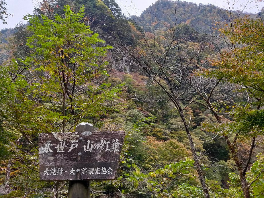 Nakatsu River-秩父市必去景点