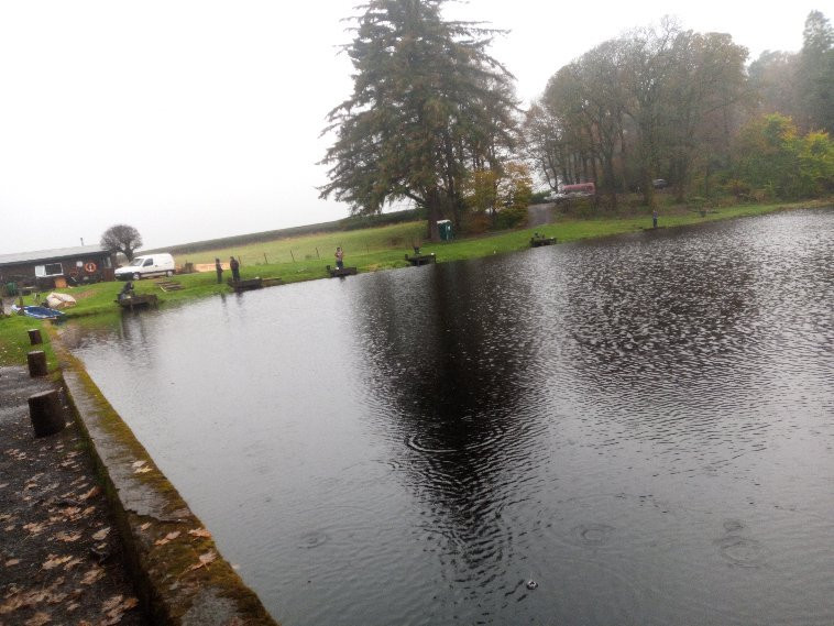 Pinewood Trout Fishery景点图片