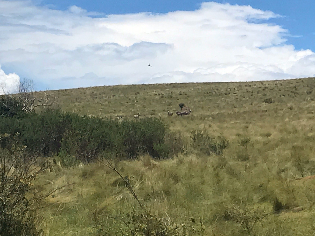 Ndere Island National Park-基苏木必去景点