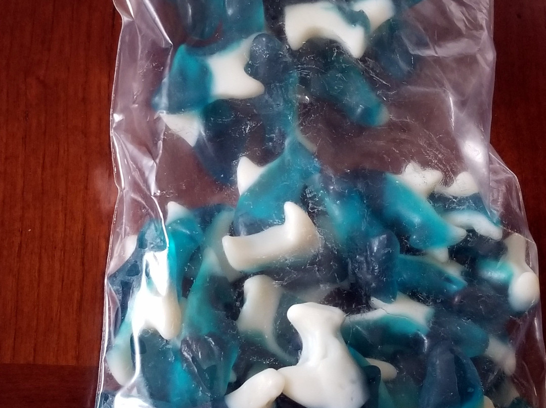 Georgia Nut Company Outlet Store-斯科基必去景点