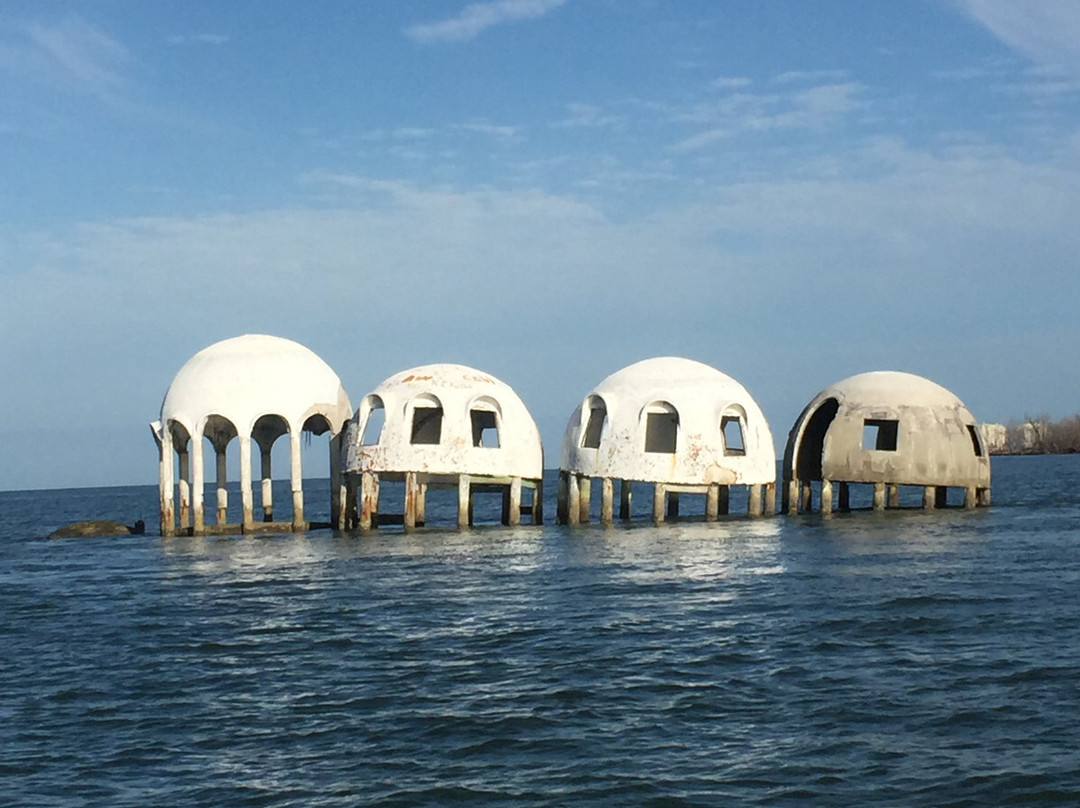 Treasure Seekers Shell Tours-Goodland必去景点