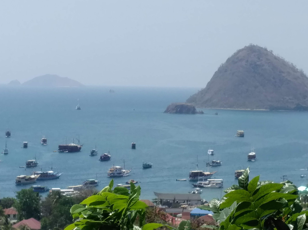 Bayview Gardens Hotel主图