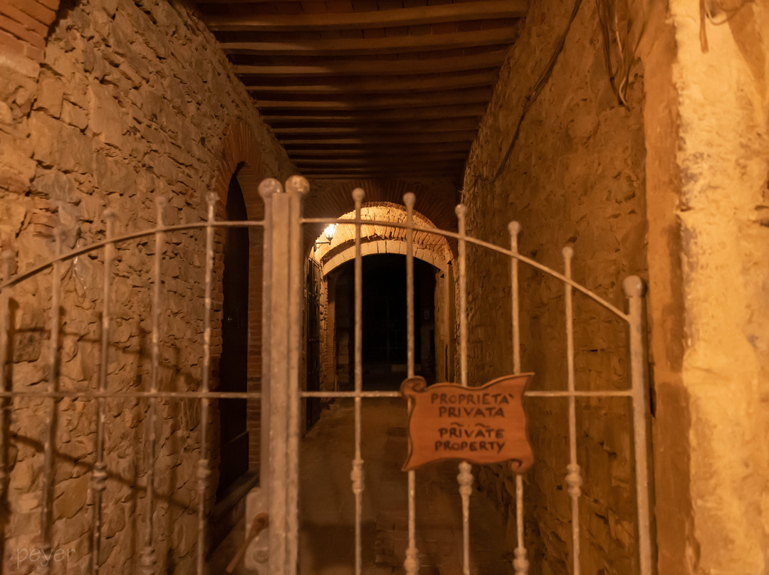 Chiostro e Convento di San Francesco景点图片