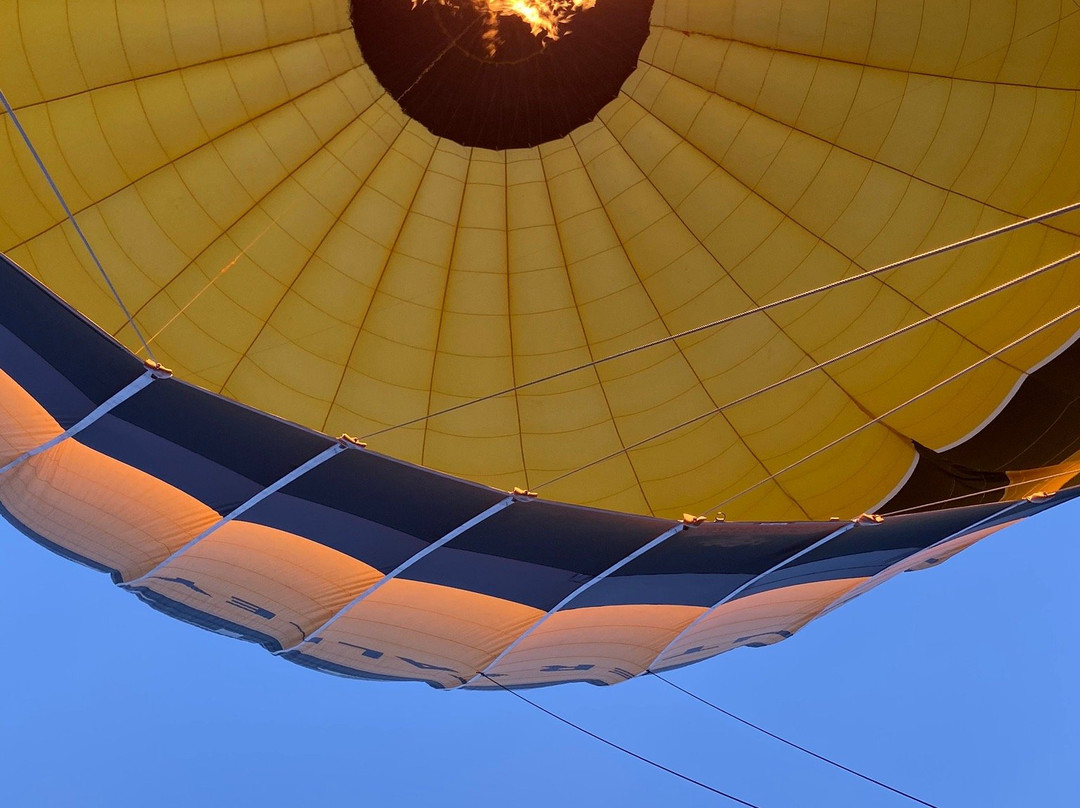 Balloon Aloft Hunter Valley景点图片