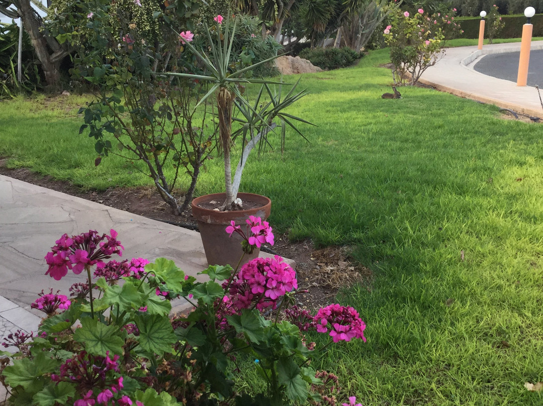 Corallia Beach Hotel Apartments主图