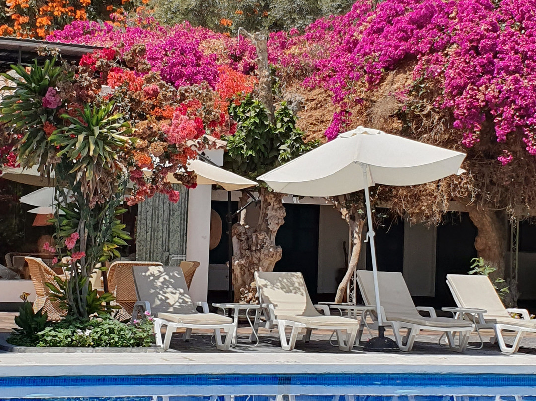 Hacienda Majoro 精品渡假村主图