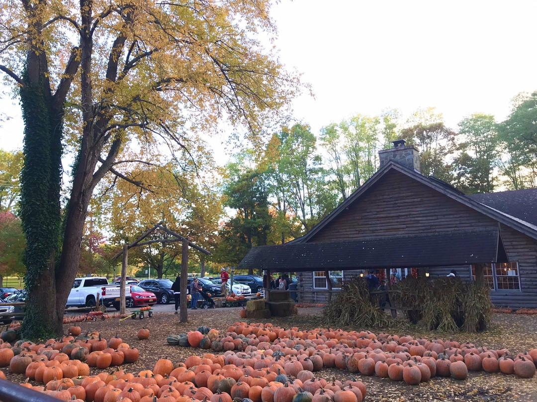 Powers Farm Market-Pittsford必去景点