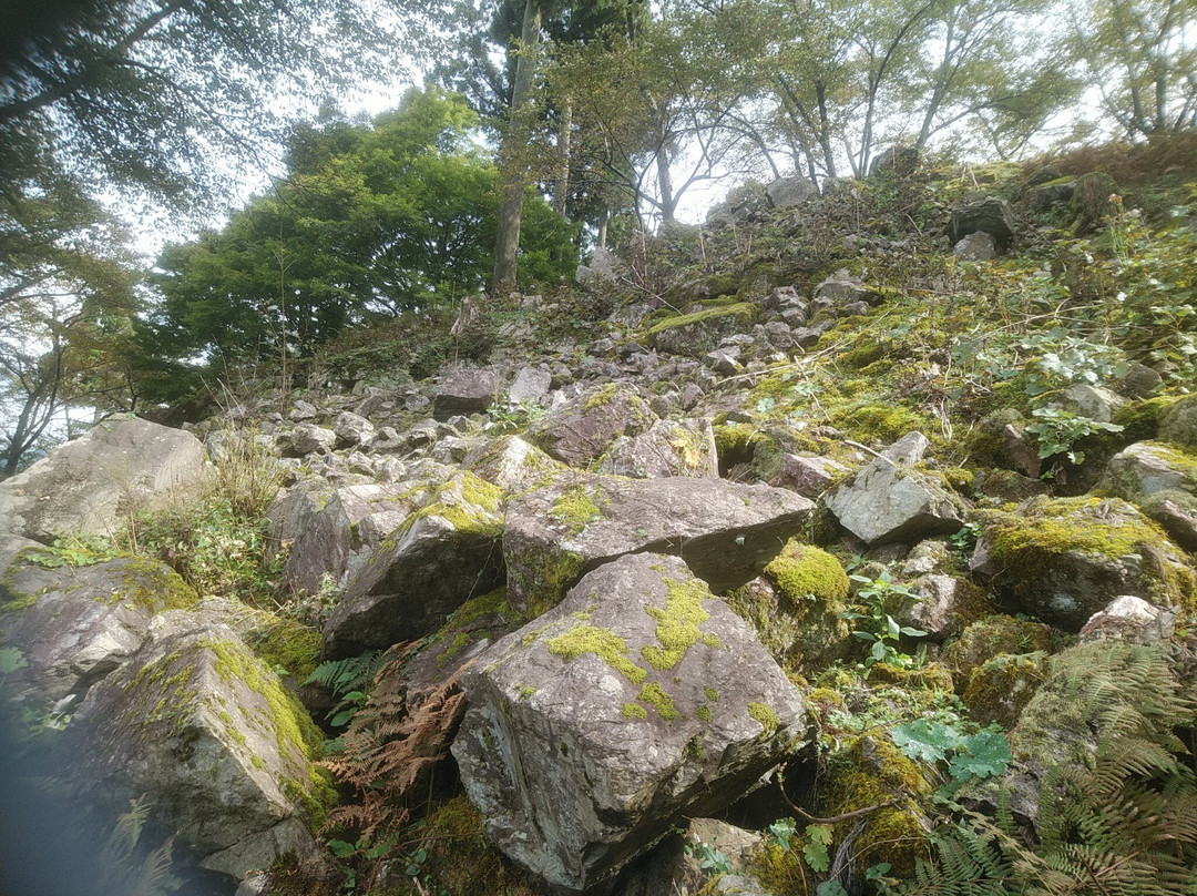 The remains of Wakasaonigajo Castle景点图片