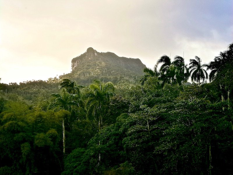 El Yunque景点图片