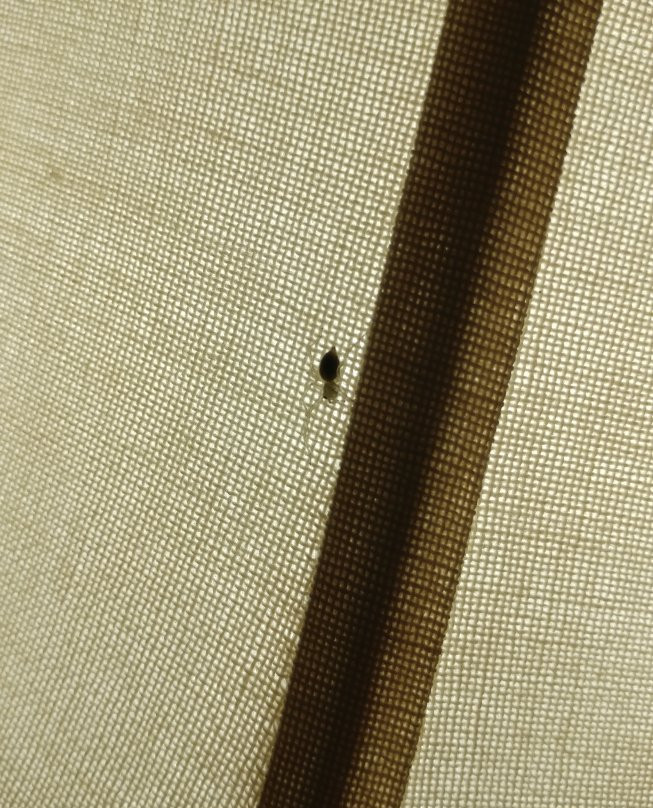 Milford Motel on the River主图