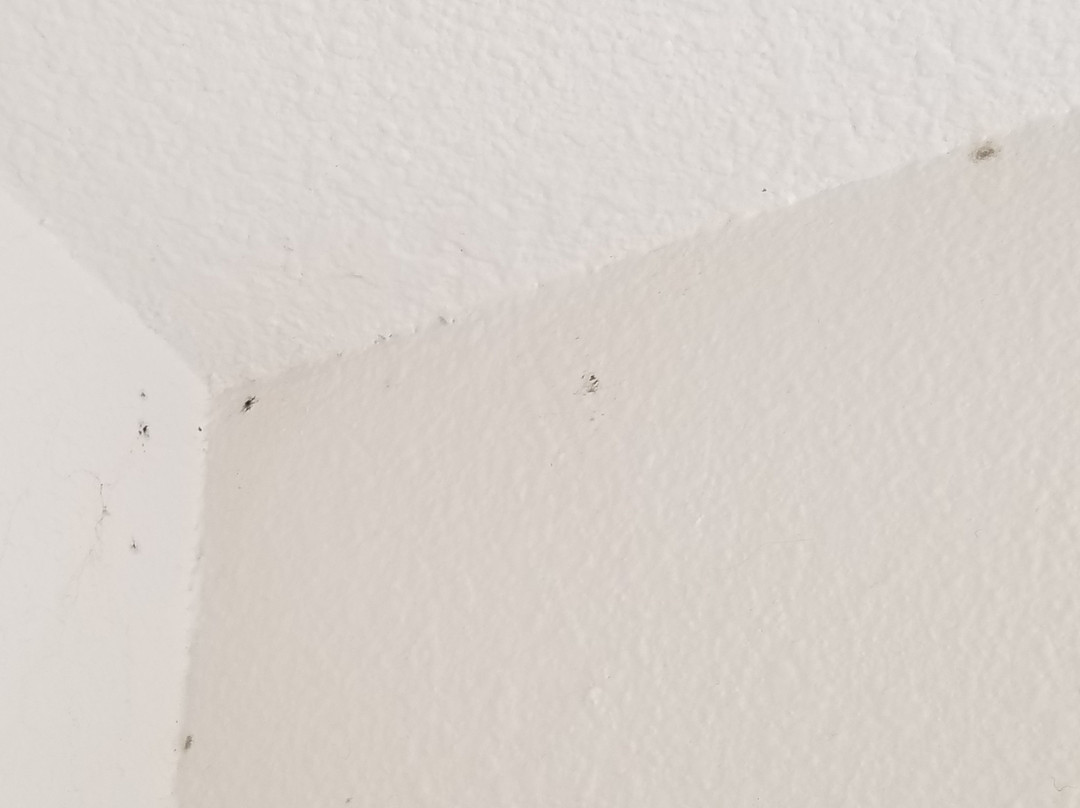 圣马特奥SFO机场酒店主图