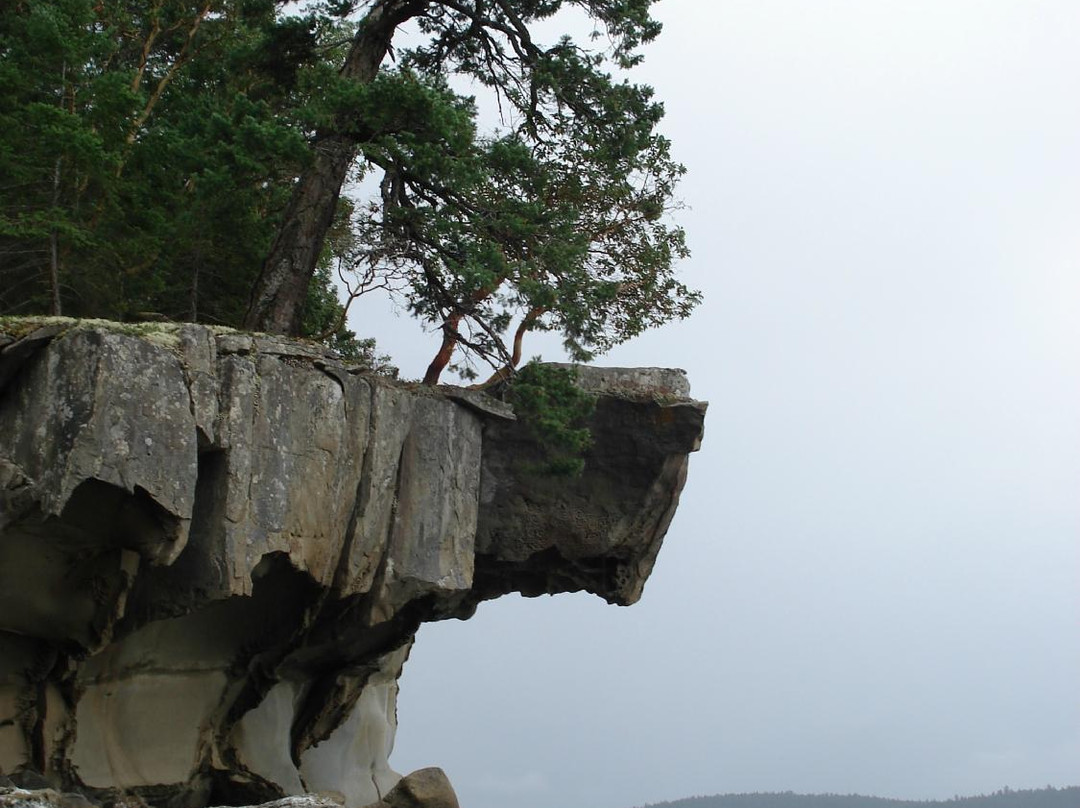 Gulf Island Kayaking景点图片