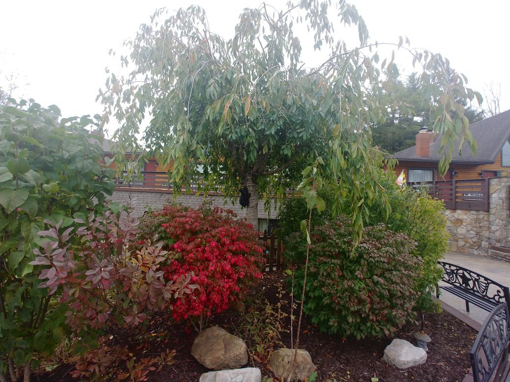 Inn At Deep Creek主图