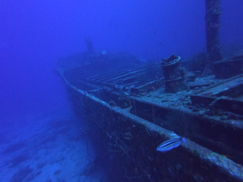 Superior Producer-库拉索必去景点