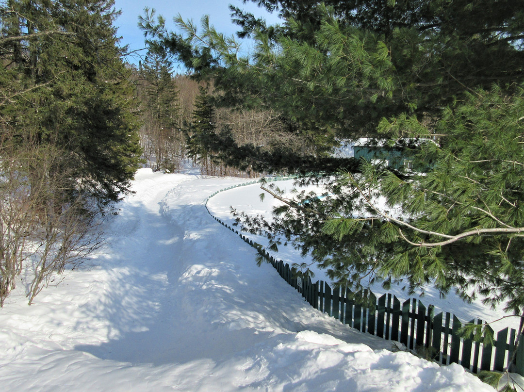 Parc Du Brûlé景点图片