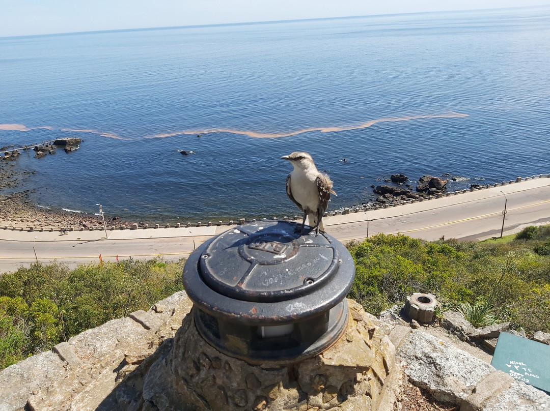 Virgen Stella Maris-Piriapolis必去景点