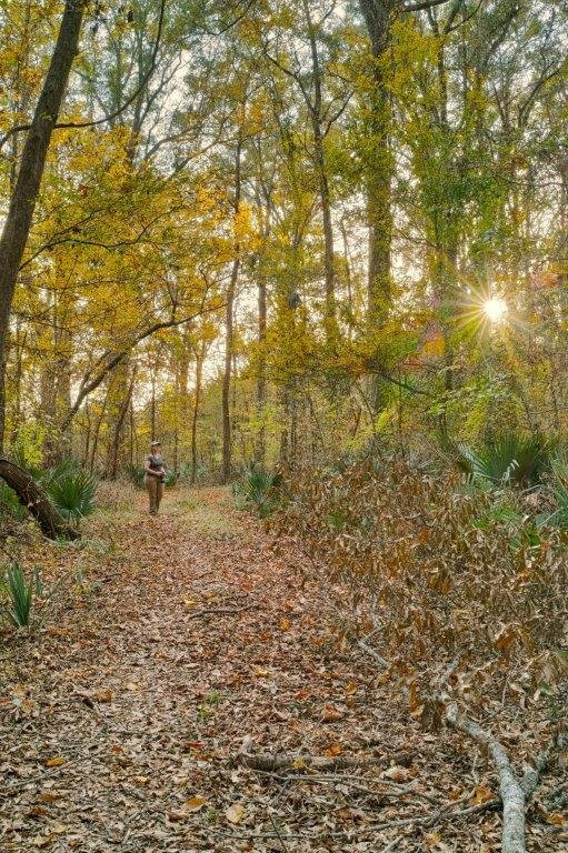 Tensas River National Wildlife Refuge景点图片