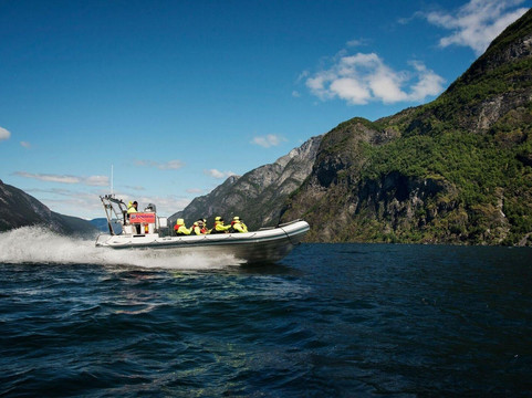 Guided Fjord Tours-卑尔根必去景点