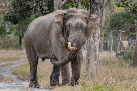 Pathikworld Tours-里希克虚必去景点
