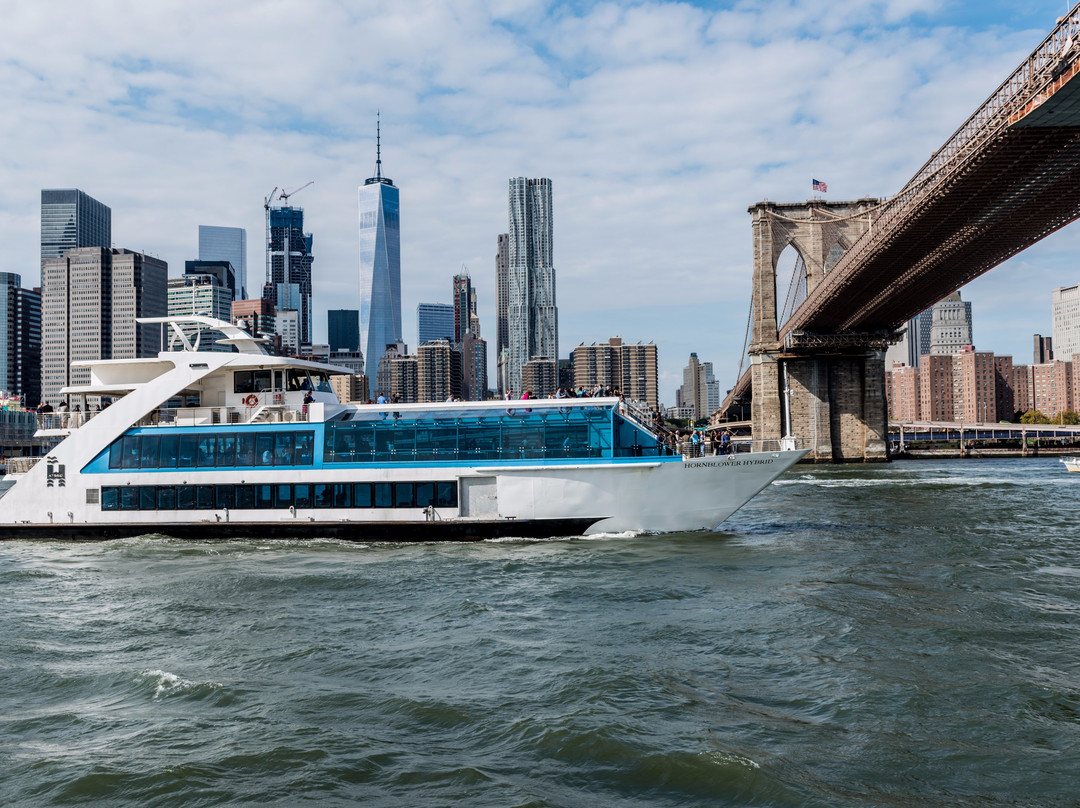 City Cruises New York Pier 40景点图片