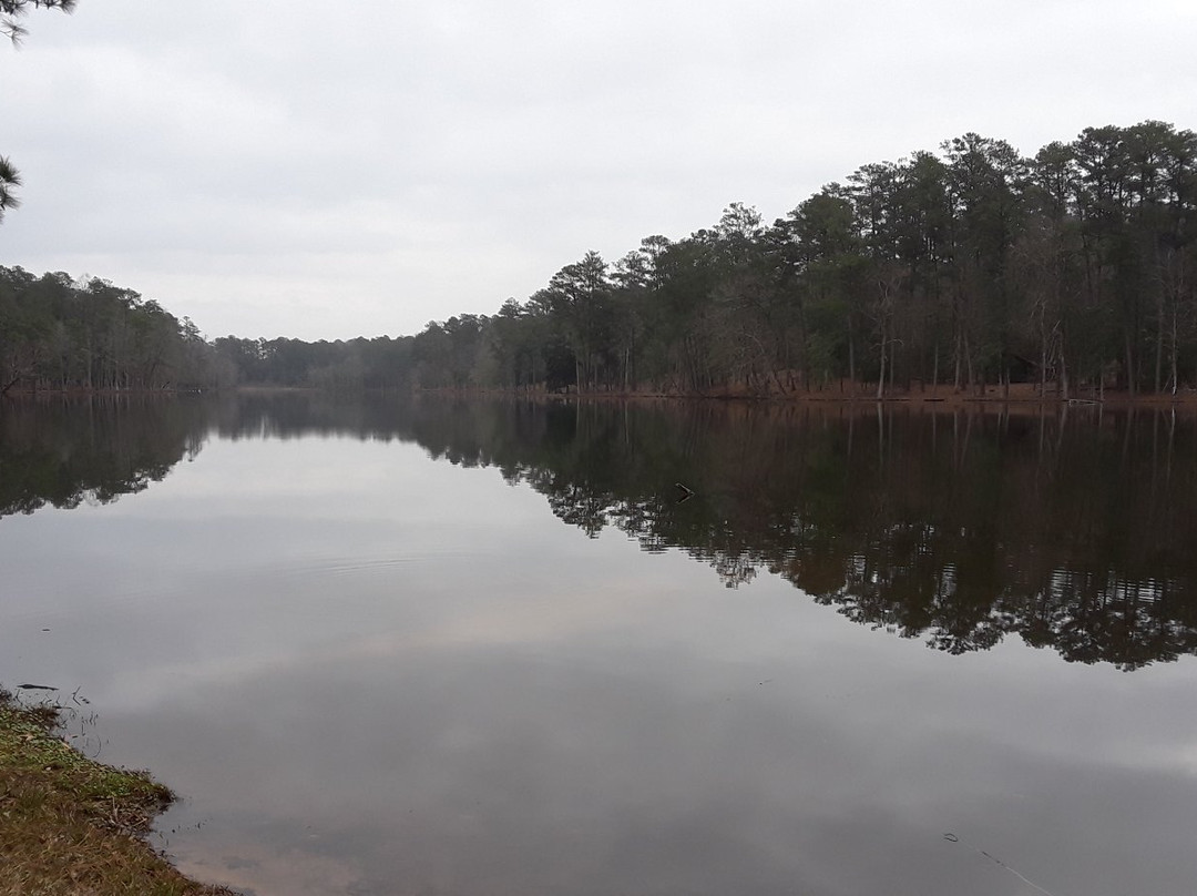 Clarkco State Park景点图片