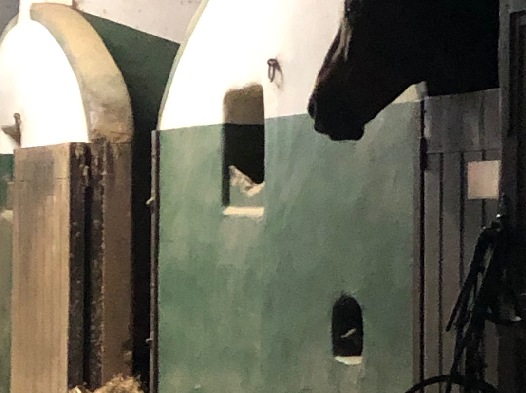 Gladiux-圣克鲁斯-德特内里费必去景点